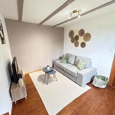 Apartment Le Cocon Du Vignoble - Free Wifi - Netflix Turckheim