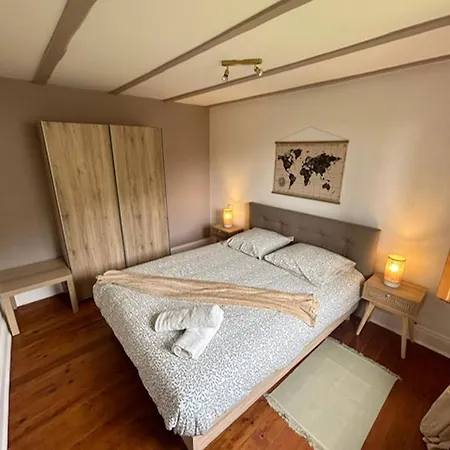 Le Cocon Du Vignoble - Free Wifi - Netflix Apartment Turckheim