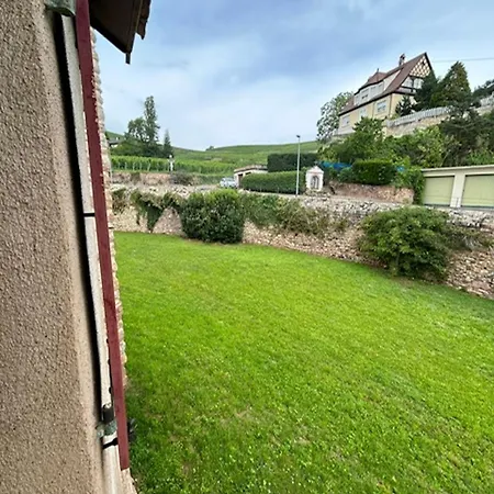 Le Cocon Du Vignoble - Free Wifi - Netflix Apartment *