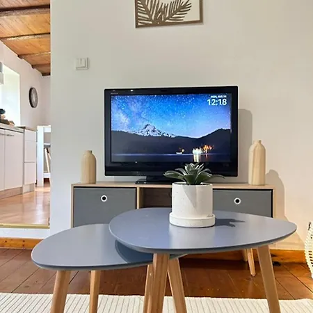 Le Cocon Du Vignoble - Free Wifi - Netflix * Turckheim