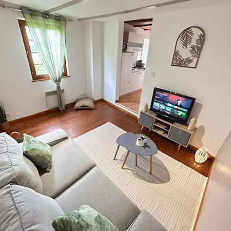 Apartment Le Cocon Du Vignoble - Free Wifi - Netflix *
