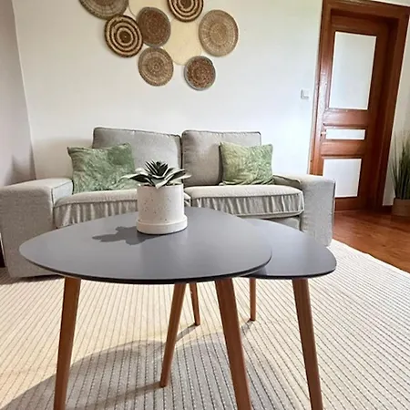 Apartment Le Cocon Du Vignoble - Free Wifi - Netflix Turckheim