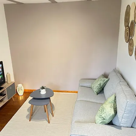 Apartment Le Cocon Du Vignoble - Free Wifi - Netflix