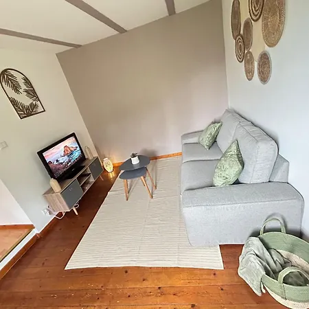Le Cocon Du Vignoble - Free Wifi - Netflix Apartment