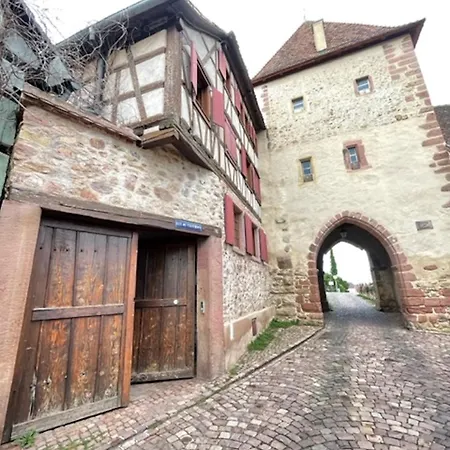 Le Cocon Du Vignoble - Free Wifi - Netflix Apartment