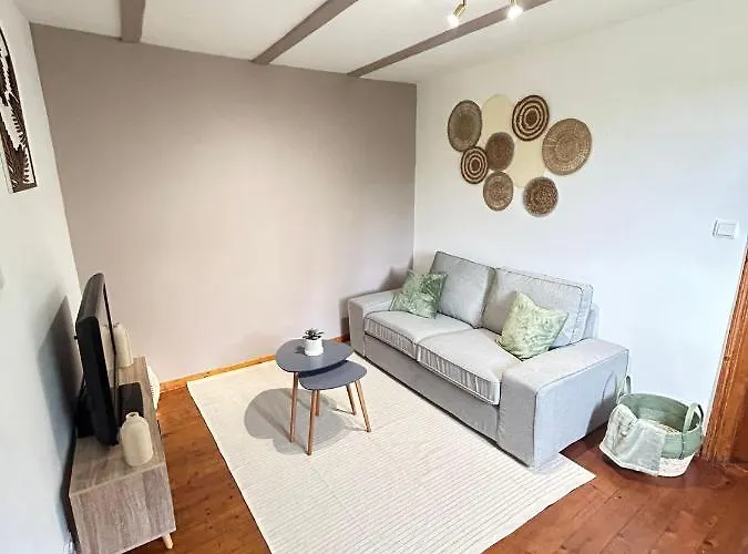 Apartment Le Cocon Du Vignoble - Free Wifi - Netflix Turckheim
