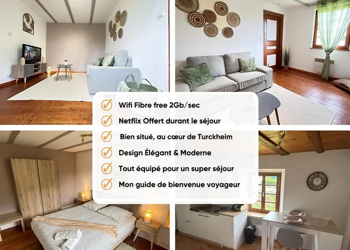 Apartment Le Cocon Du Vignoble - Free Wifi - Netflix *