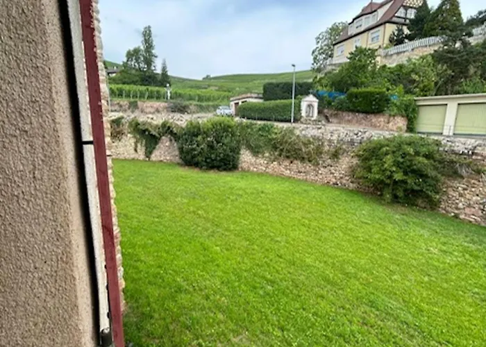 Le Cocon Du Vignoble - Free Wifi - Netflix Apartment *