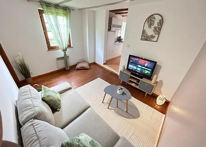 Apartment Le Cocon Du Vignoble - Free Wifi - Netflix *