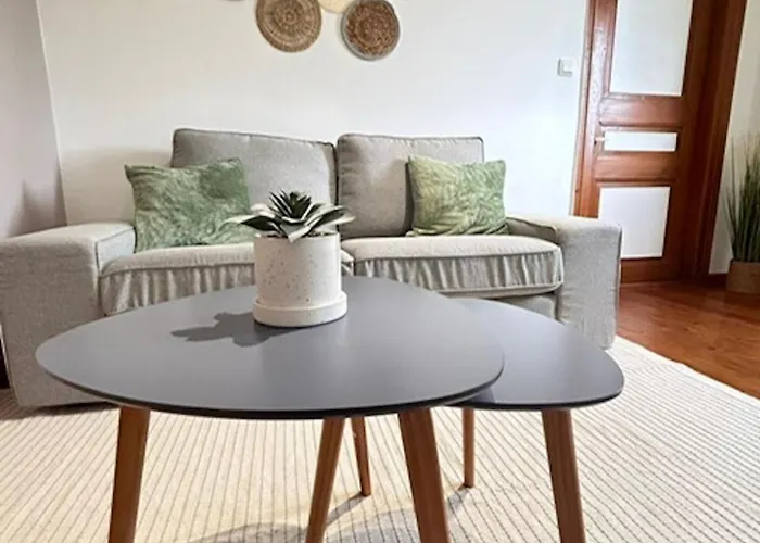 Apartment Le Cocon Du Vignoble - Free Wifi - Netflix Turckheim