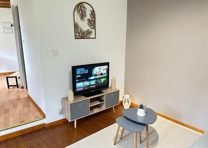 Apartment Le Cocon Du Vignoble - Free Wifi - Netflix *