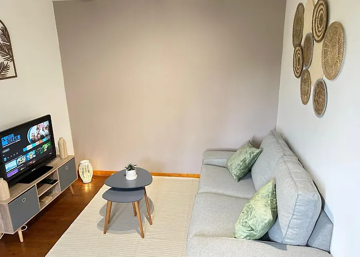Apartment Le Cocon Du Vignoble - Free Wifi - Netflix