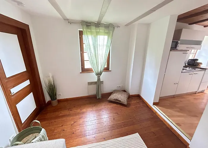 Le Cocon Du Vignoble - Free Wifi - Netflix Apartment Turckheim