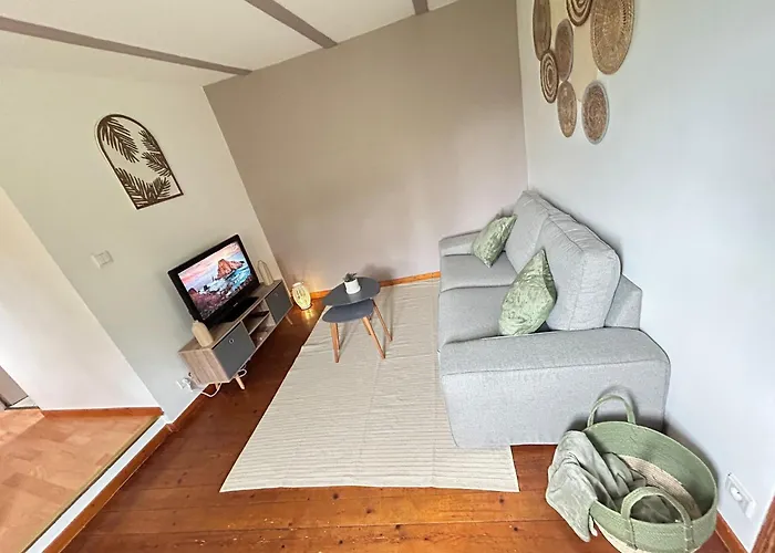 Le Cocon Du Vignoble - Free Wifi - Netflix Apartment