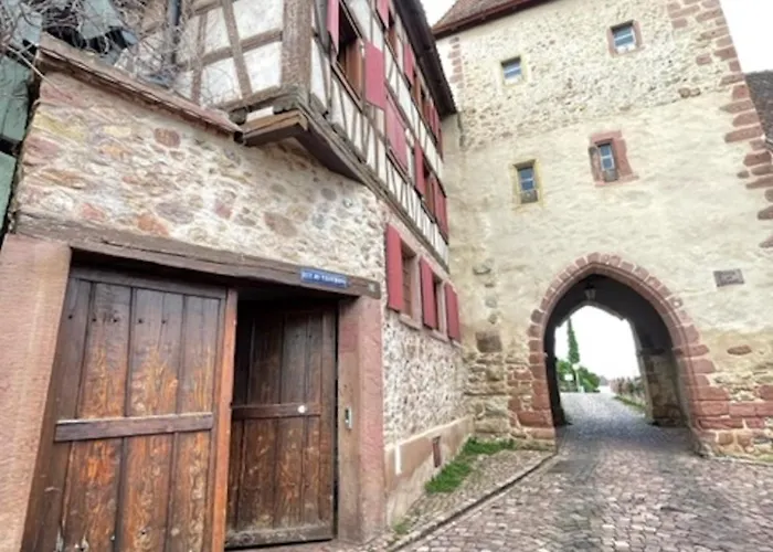 Le Cocon Du Vignoble - Free Wifi - Netflix Apartment